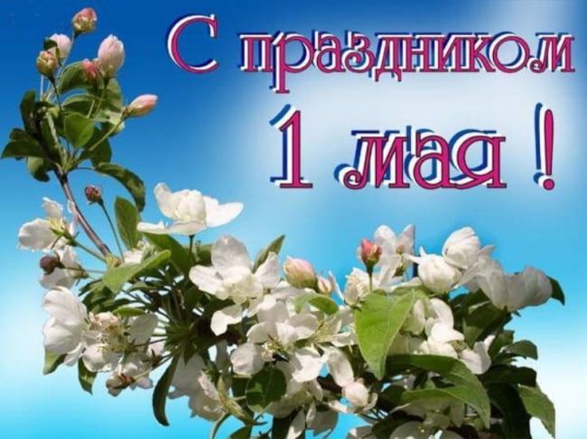 Поздравление ректора с 1 Мая!